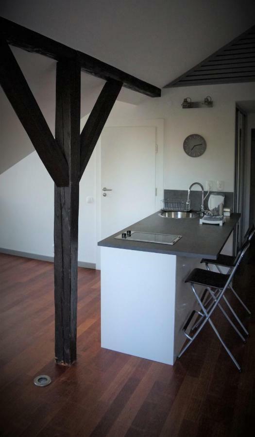 Ferienwohnung Feliciana In The Heart Of Old Town With Wawel'S View Krakau Exterior foto